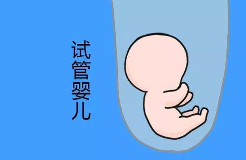 遗传咨询科